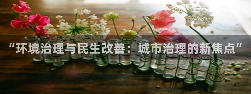 凯发k8官网备用网址：“环境治理与民生改善：城市治理的新焦点”