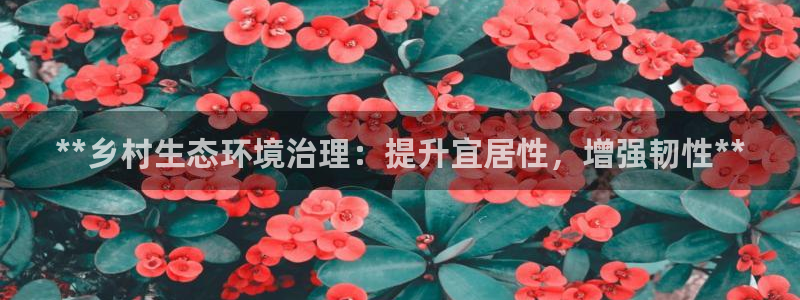 百家乐凯发k8：**乡村生态环境治理：提升宜居性，增强韧性**